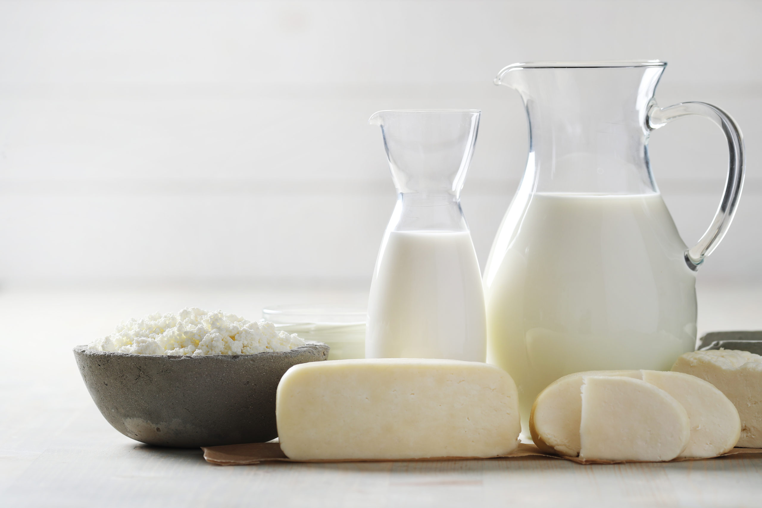 Dairy Lactose Intolerant